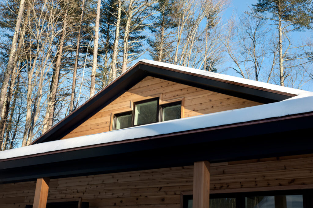 Bonsai Modern Home Exterior Roof