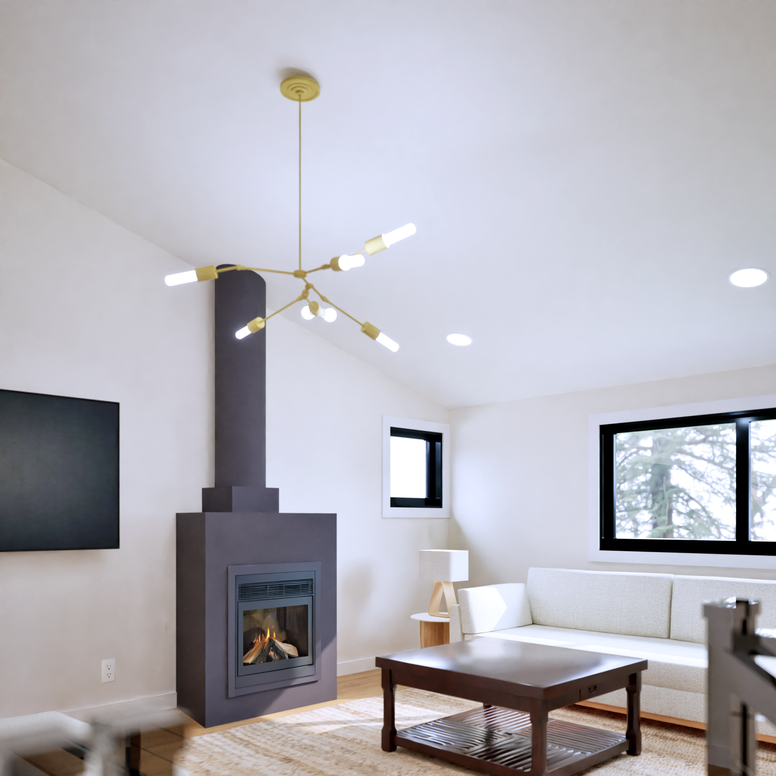 Fir Vacation Home Interior Living