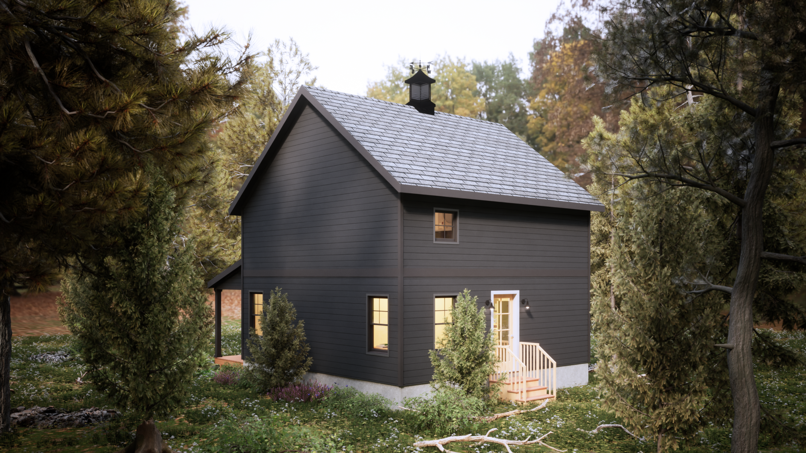 modern home exterior back